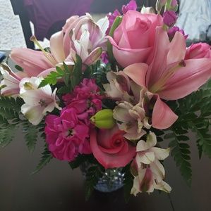 Meet your Posher, Jodi